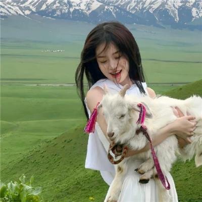 夏枝卖鱼的狂飙人生